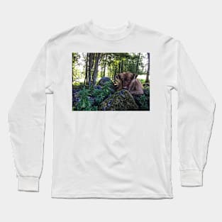 Scottish Highland Cattle Calf 1813 Long Sleeve T-Shirt